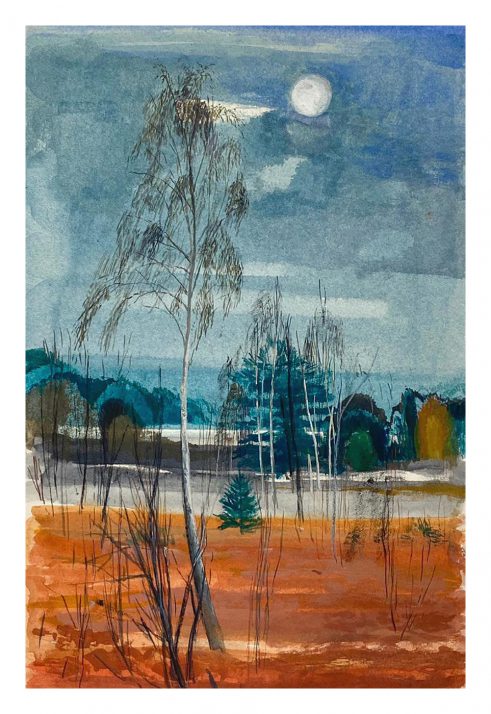 Silver Birch in Moonlight