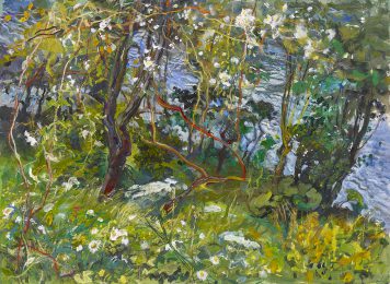 Summer Bank