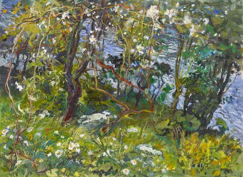 Summer Bank