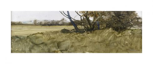 From the Studio (The Loanie i)