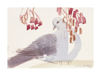 Garden Flock: Dove