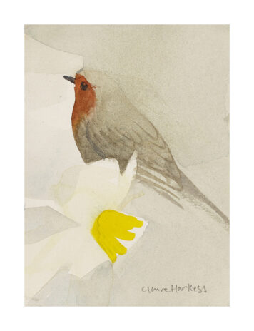 Garden Flock: Spring Robin