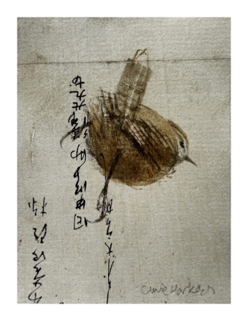 Wren