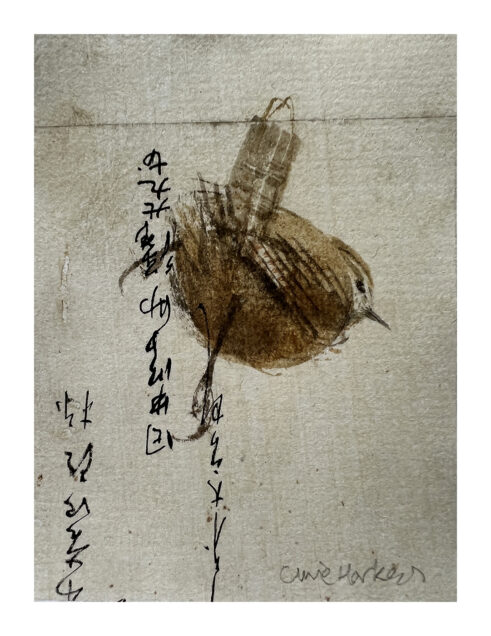 Wren