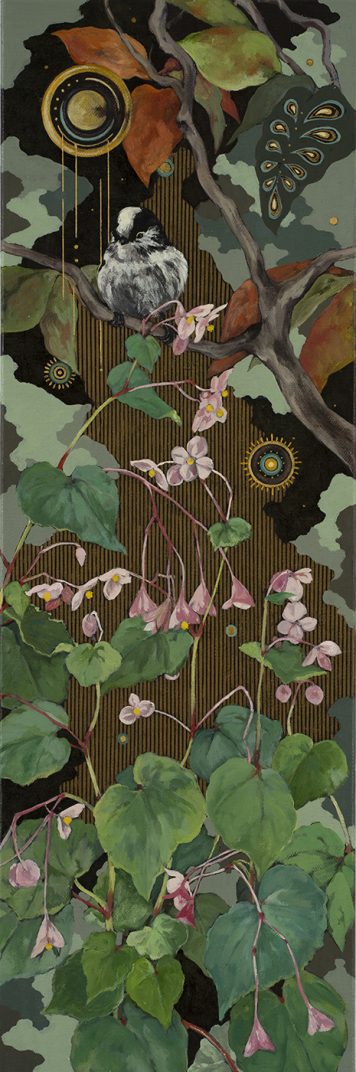 Hardy Begonia