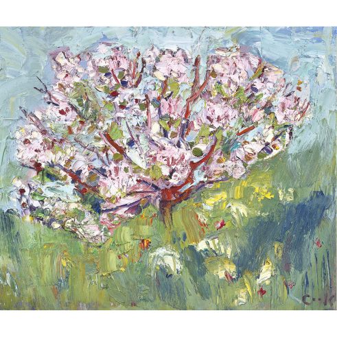 Apple Blossom I