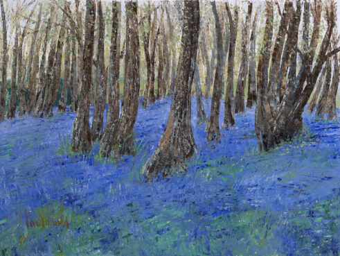Birch Trees and Bluebells near Duntrune