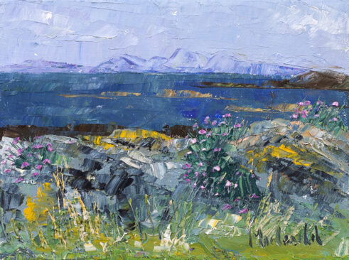 Seal Islands and Sea Pinks and a Glimpse of Jura