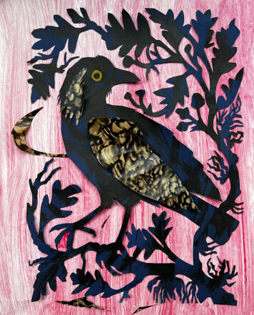 Jackdaw
