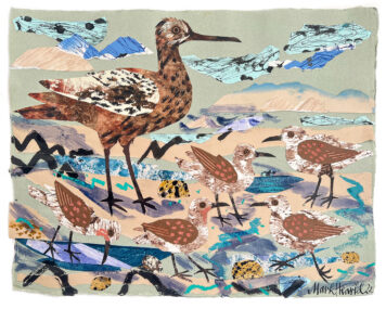 Wader Flock