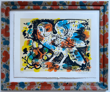 Owl Watching