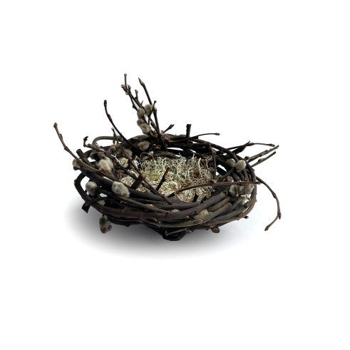 Medium Catkin Nest with Reindeer Moss (103)