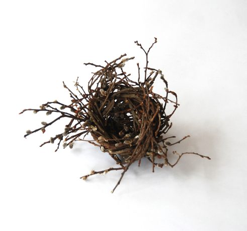 Medium Catkin Nest (104)
