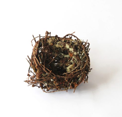 Large Lichen Nest (107)