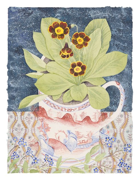 Auricula and Forget-Me-Nots