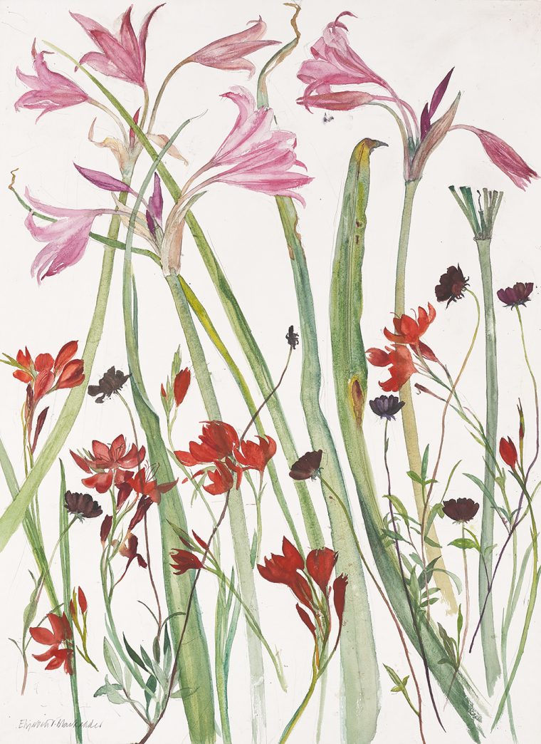 Lilies and Mixed Flowers