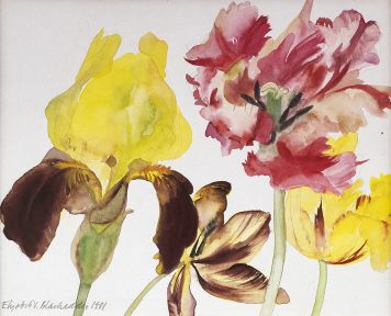 Irises and Tulips
