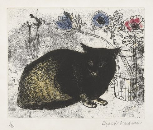 Cat and Anemones