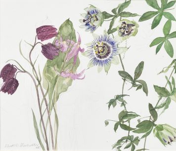 Spring Flowers, Fritillaria, Erythronium and Passiflora Caerulea