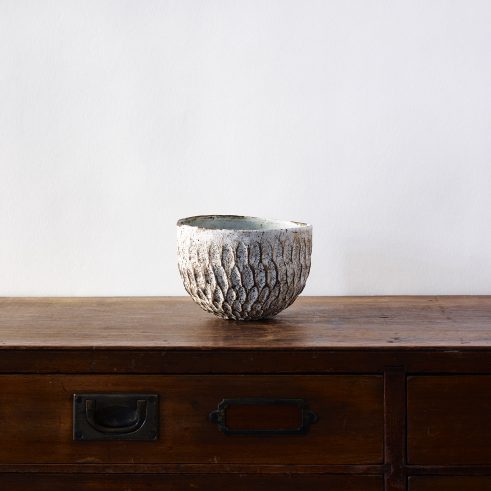 Dry Kohiki Flower Petal Cereal Bowl White