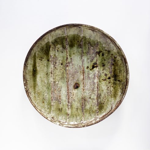 Fossil Plate Dark Green