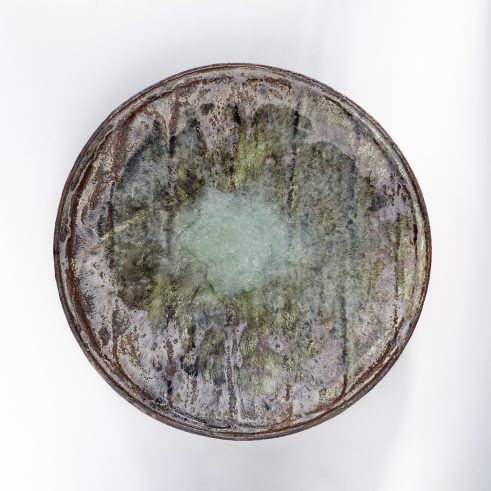 Fossil Plate Fog