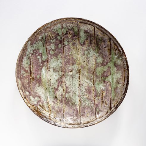 Fossil Plate Pink