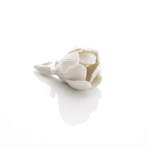 A Magnolia