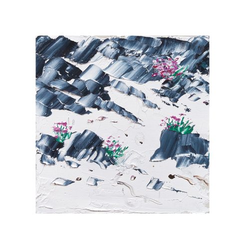 Indigo Rocks, Iona