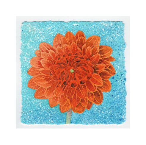 Burnt Orange Dahlia
