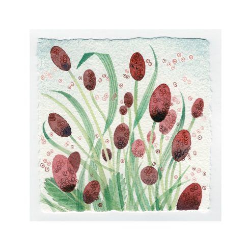 Burnet and Grasses