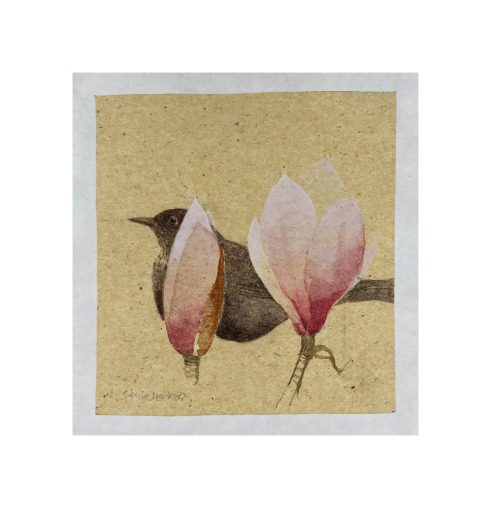 Early Magnolia