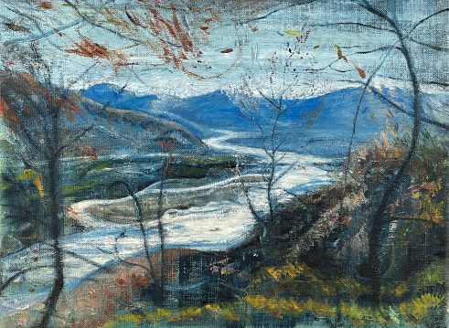 The Tagliamento from Monte di Ragogna