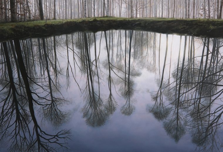 Mirrorpool in a Birch Wood