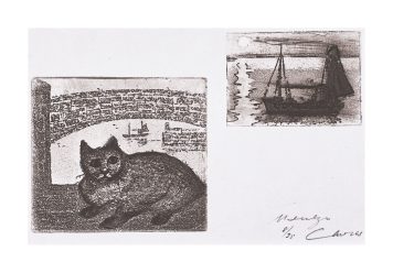Cat, Newlyn, Cornwall
