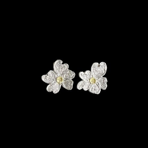 Viburnum Flower Studs
