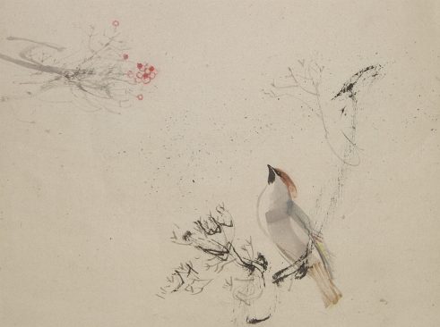 Waxwing