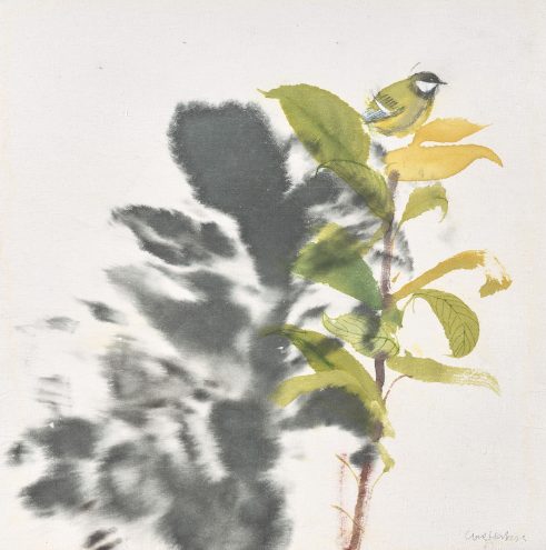 Great’s Shadow