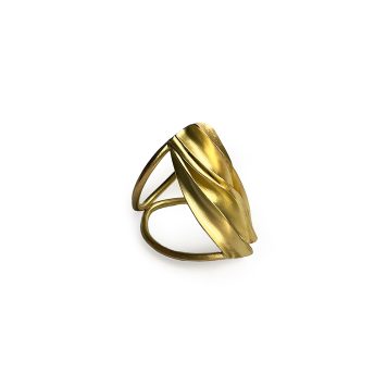 Ring with Striptwist