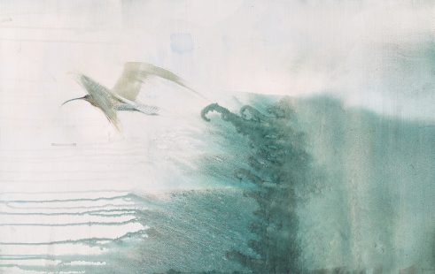 Shoreline Flight