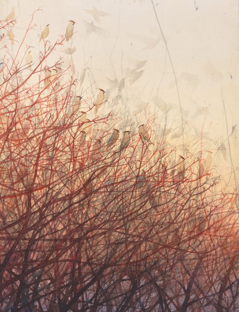 Gathering Waxwings