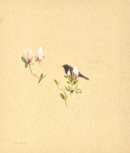 Early Spring