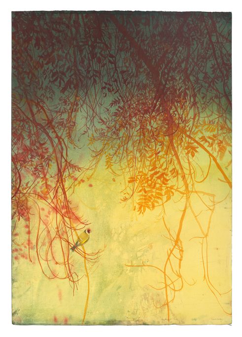 Summer Gold