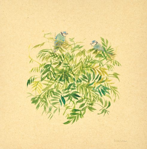 Wisteria Blue