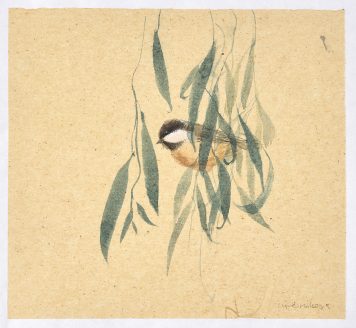 Coal Tit and Willow Leaves