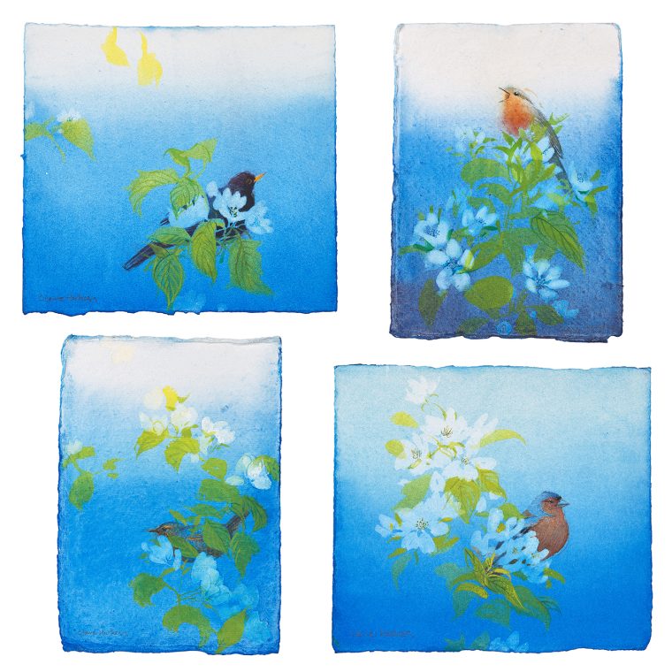 Blossom and Birdsong