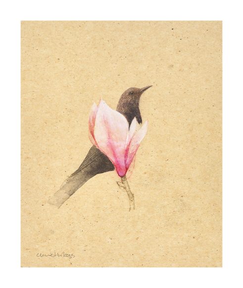 Spring Magnolia I