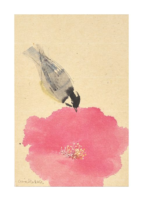 Coal and Camelia II