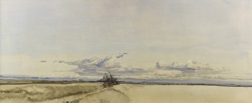 From Balgove, 2.xi.1990