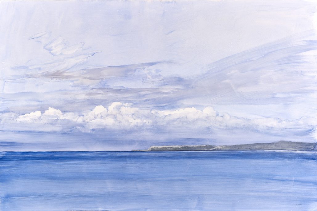 Headland, Loch Tuath, Mull, 19.v.2011